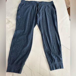 Lululemon soft jersey jogger women’s size 20